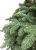 IMG_0853.PNG