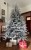 IMG_0768.jpeg