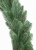 IMG_0898.PNG